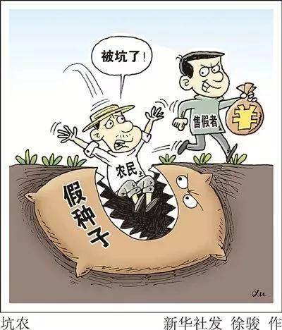 網(wǎng)上購(gòu)買到假種子導(dǎo)致絕收，該怎么辦？購(gòu)買多注意，維權(quán)有方法??？